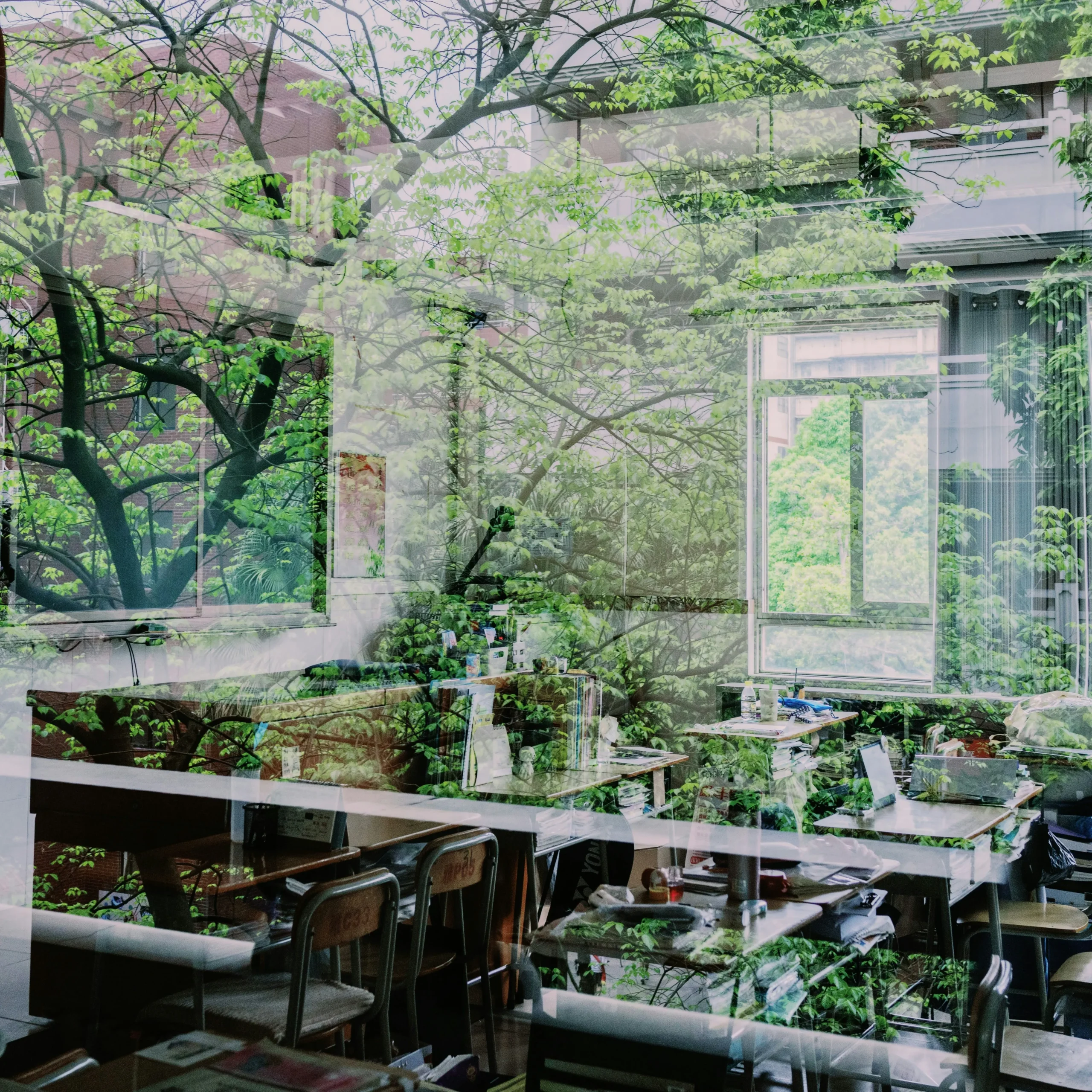 高島市立の小学校、中学校、県立高等学校の大半で8日、入学式が行われています。おめでとうございます