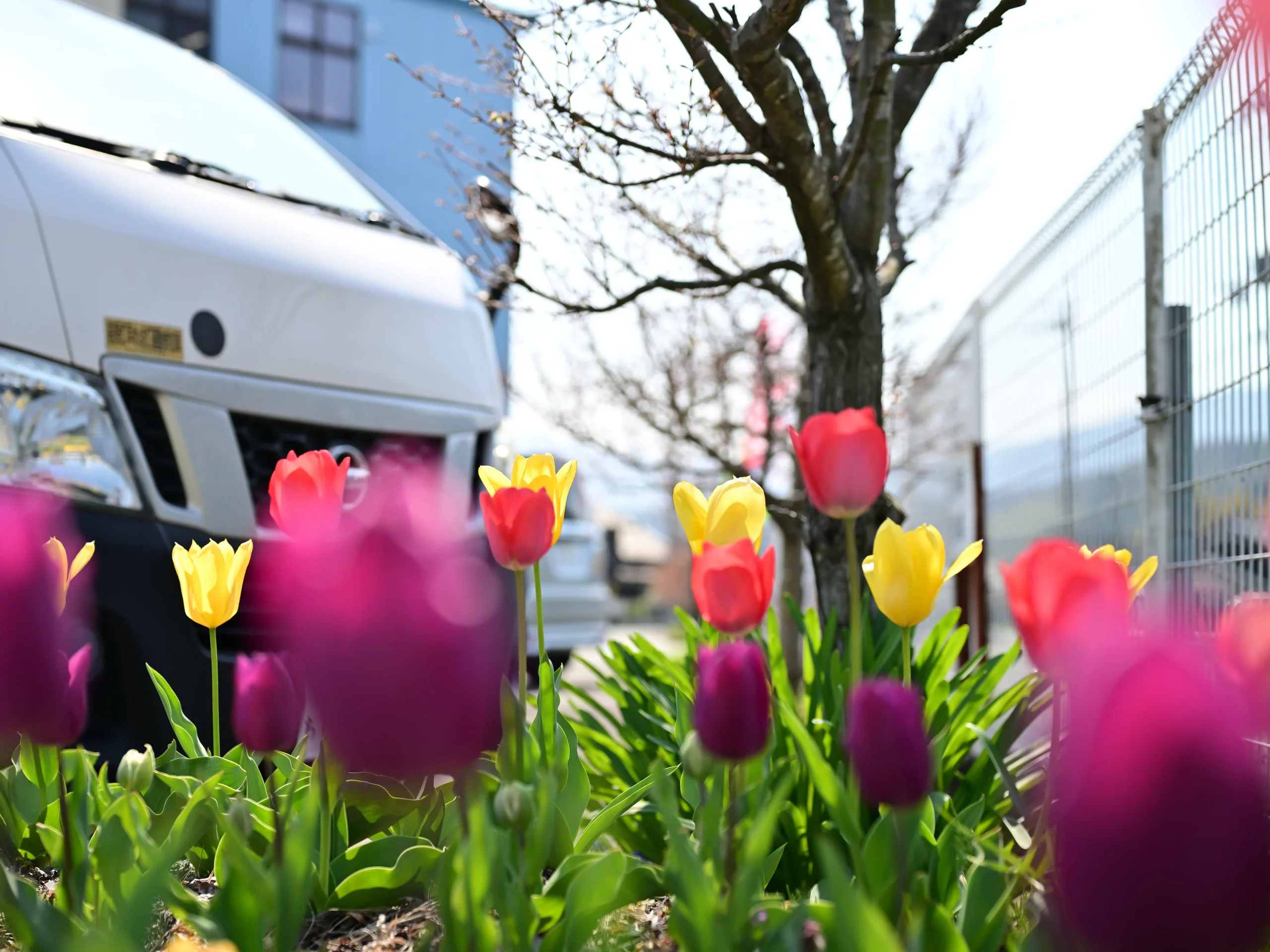 会議室で目的を共有し、チームで連携する従業員