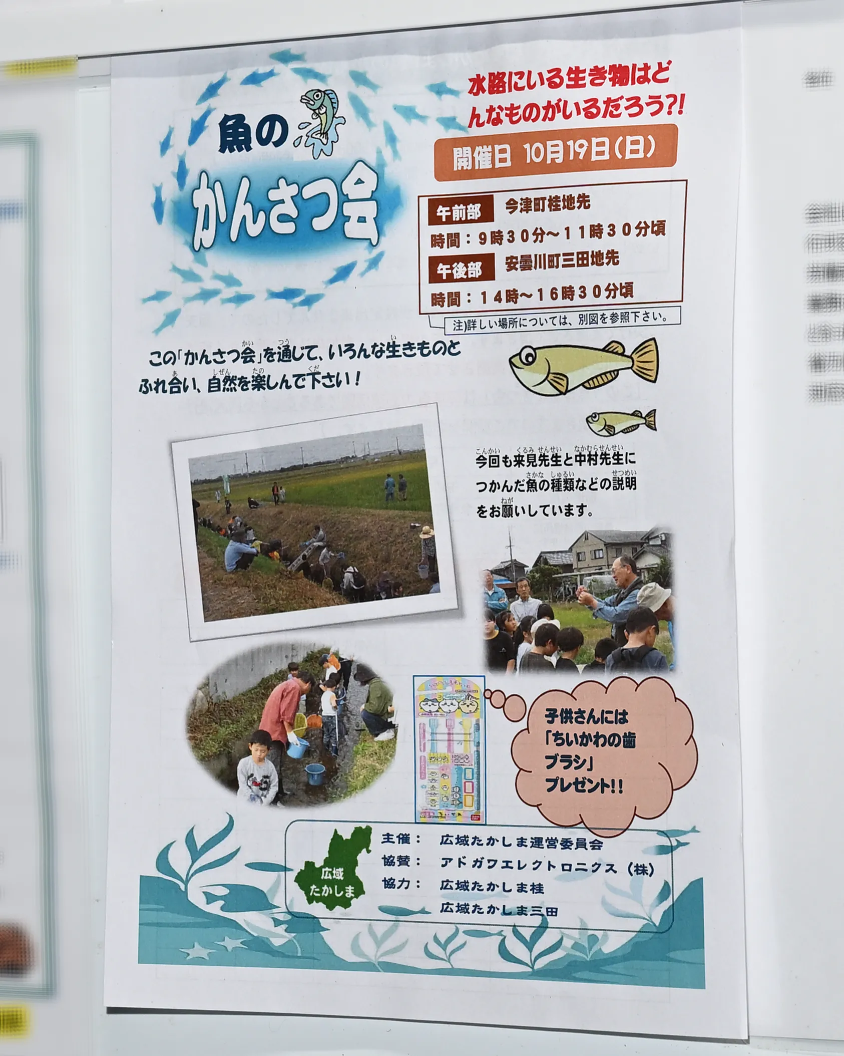 高島市の自然と生き物を学ぶ体験イベント告知ポスター。「魚のかんさつ会」10月19日開催