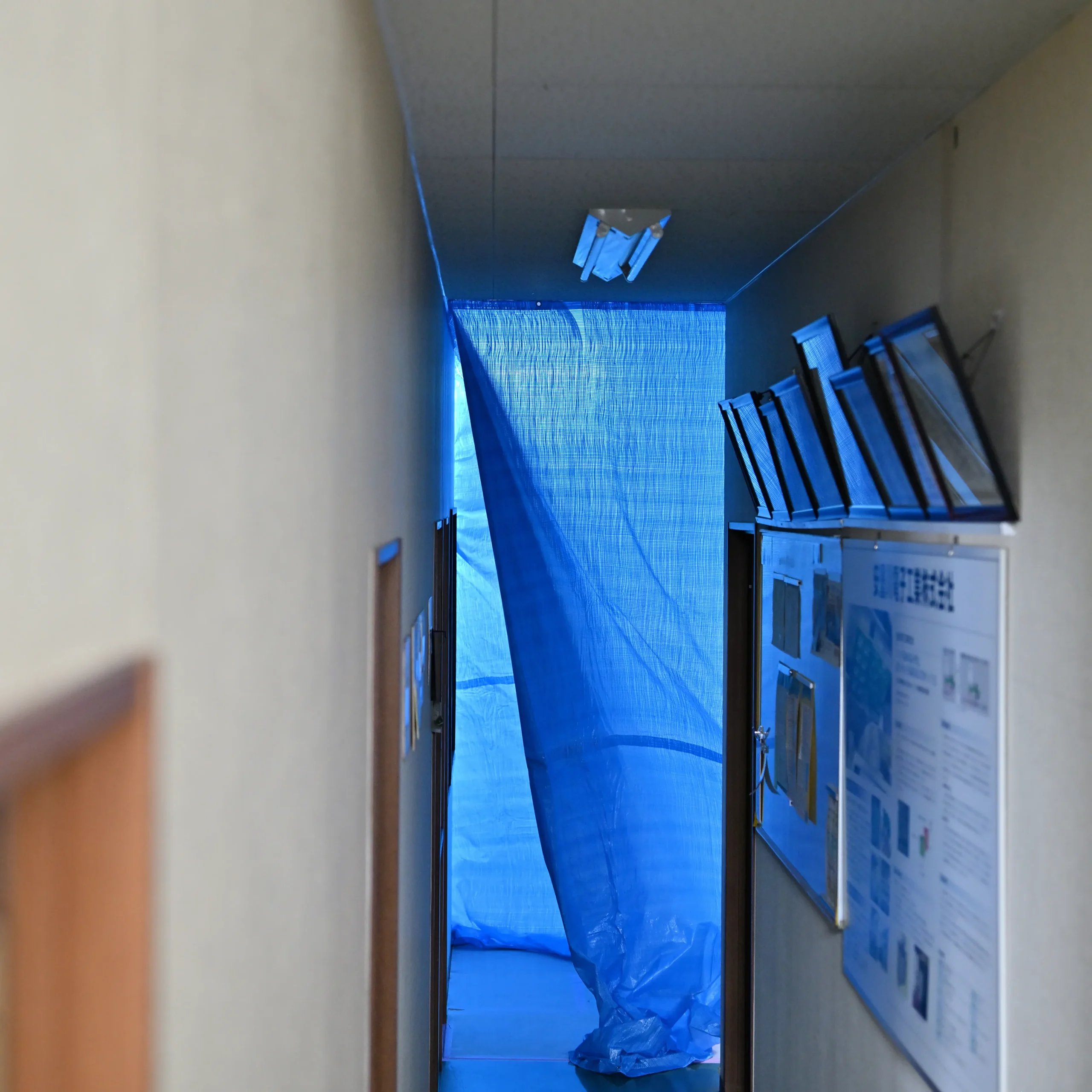 改装工事のため、青いビニールシートで養生されている事務所の廊下