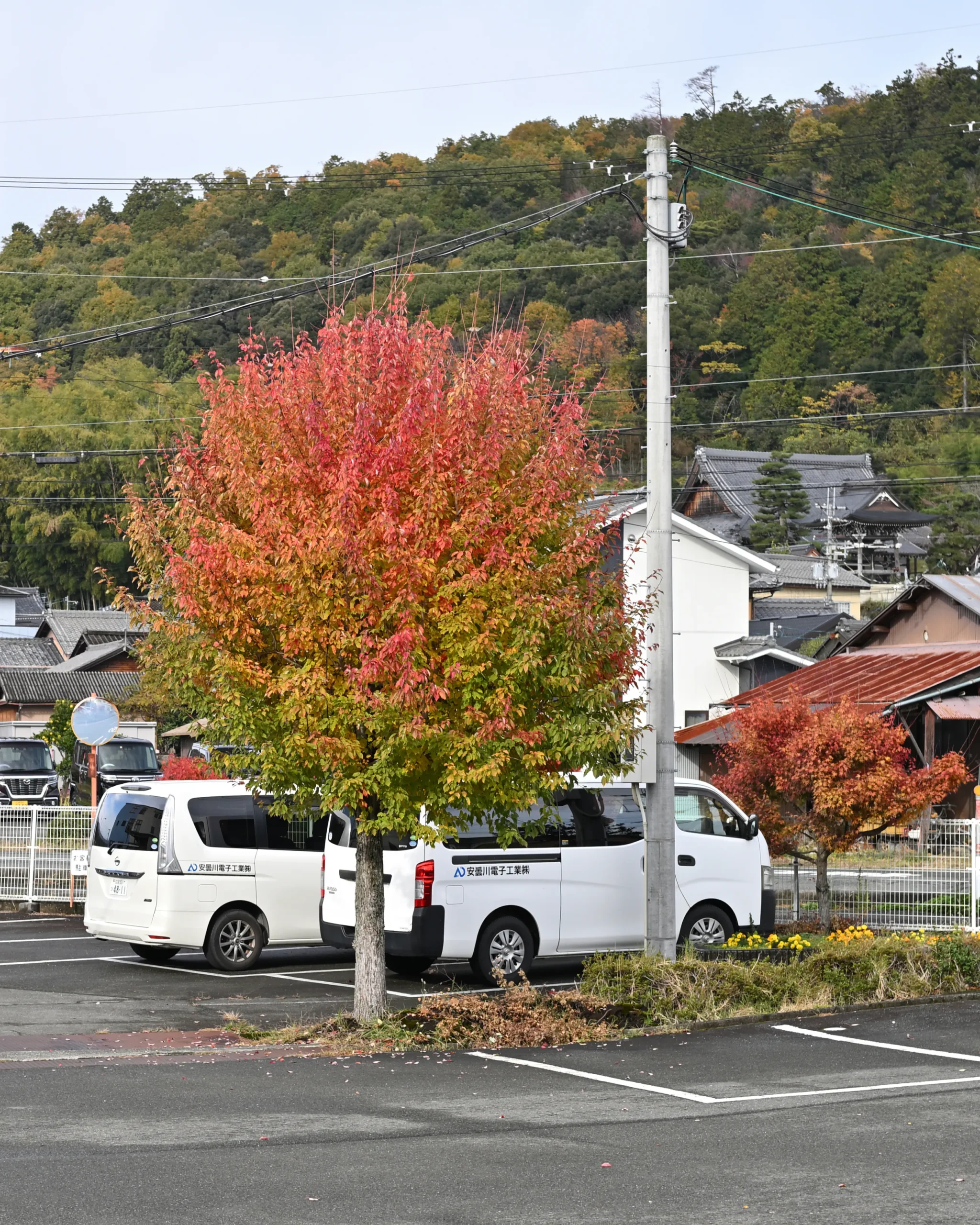 秋の気配が漂うアドガワエレクトロニクスの駐車場。駐車場の木々が赤みを帯び始める。