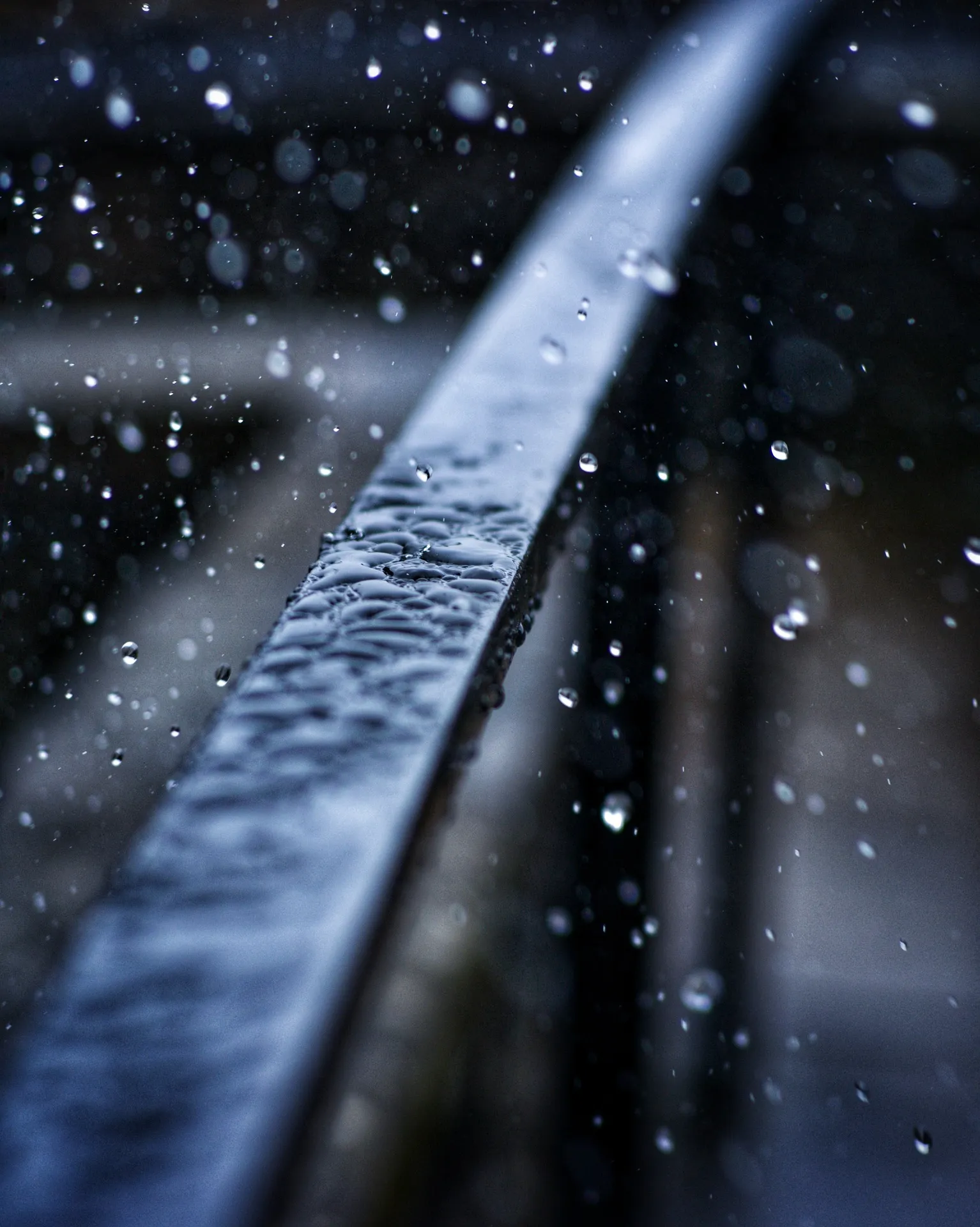 晴れ、曇り、雨、晴れと、今日の空模様は移り気です。