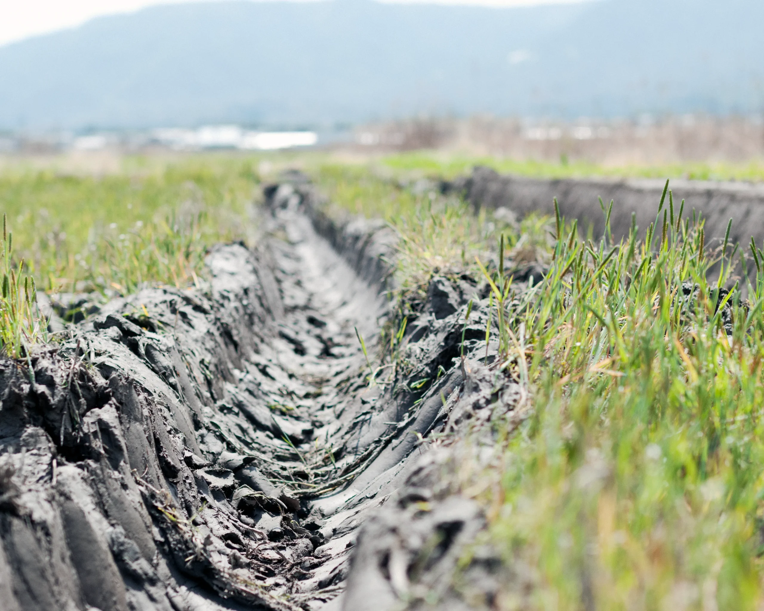 田園が広がる 高島市でもそろそろ、田植えに備えた田打ちが始まりそうです。